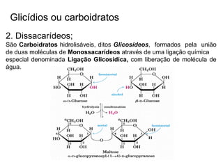 2. Dissacarídeos;
São Carboidratos hidrolisáveis, ditos Glicosídeos, formados pela união
de duas moléculas de Monossacarídeos através de uma ligação química
especial denominada Ligação Glicosídica, com liberação de molécula de
água.
Glicídios ou carboidratos
 
