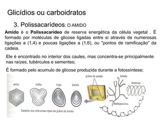 Glicídios ou carboidratos
3. Polissacarídeos: O AMIDO
Amido é o Polissacarídeo de reserva energética da célula vegetal . É
formado por moléculas de glicose ligadas entre si através de numerosas
ligações a (1,4) e poucas ligações a (1,6), ou "pontos de ramificação" da
cadeia.
Ele é encontrado no interior dos caules, mas concentra-se principalmente
nas raízes, tubérculos e sementes;
É formado pelo acumulo de glicose produzida durante a fotossíntese;
 