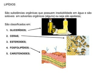 LIPÍDIOS
São substâncias orgânicas que possuem insolubilidade em água e são
solúveis em solventes orgânicos (alguns) ou seja são apolares;
São classificados em:
1. GLICERÍDIOS;
2. CERAS;
3. ESTEROIDES;
4. FOSFOLIPÍDIOS;
5. CAROTENOIDES;
 