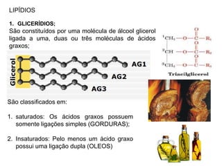 LIPÍDIOS
1. GLICERÍDIOS;
São constituídos por uma molécula de álcool glicerol
ligada a uma, duas ou três moléculas de ácidos
graxos;
São classificados em:
1. saturados: Os ácidos graxos possuem
somente ligações simples (GORDURAS);
2. Insaturados: Pelo menos um ácido graxo
possui uma ligação dupla (OLEOS)
 