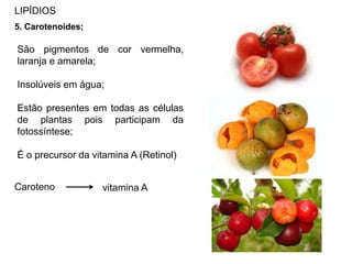 LIPÍDIOS
5. Carotenoides;
São pigmentos de cor vermelha,
laranja e amarela;
Insolúveis em água;
Estão presentes em todas as células
de plantas pois participam da
fotossíntese;
É o precursor da vitamina A (Retinol)
Caroteno vitamina A
 