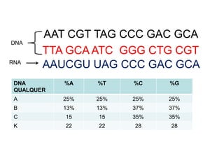 AAT CGT TAG CCC GAC GCA
DNA
RNA
DNA
QUALQUER
%A %T %C %G
A 25% 25% 25% 25%
B 13% 13% 37% 37%
C 15 15 35% 35%
K 22 22 28 28
TTA GCA ATC GGG CTG CGT
AAUCGU UAG CCC GAC GCA
 