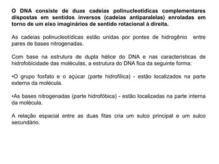 O DNA consiste de duas cadeias polinucleotídicas complementares
dispostas em sentidos inversos (cadeias antiparalelas) enroladas em
torno de um eixo imaginários de sentido rotacional à direita.
As cadeias polinucleotídicas estão unidas por pontes de hidrogênio entre
pares de bases nitrogenadas.
Com base na estrutura de dupla hélice do DNA e nas características de
hidrofobicidade das moléculas, a estrutura do DNA fica da seguinte forma:
•O grupo fosfato e o açúcar (parte hidrofílica) - estão localizados na parte
externa da molécula.
•As bases nitrogenadas (parte hidrofóbica) - estão localizadas na parte interna
da molécula.
A relação espacial entre as duas fitas cria um sulco principal e um sulco
secundário.
 