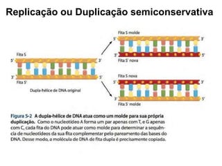 Replicação ou Duplicação semiconservativa
 