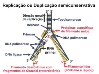 Replicação ou Duplicação semiconservativa
 