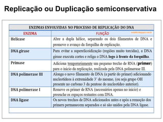 Replicação ou Duplicação semiconservativa
 