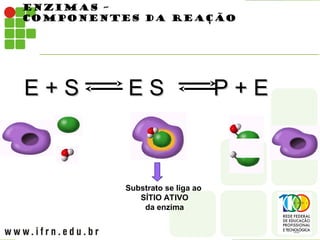 ENZIMAS –
COMPONENTES DA REAÇÃO
E + S E S P + E
E + S E S P + E
Substrato se liga ao
SÍTIO ATIVO
da enzima
 