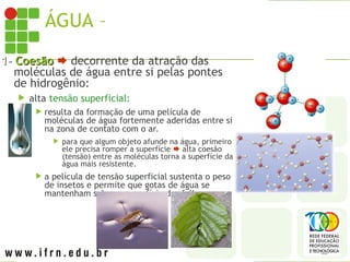 ÁGUA – PROPRIEDADES
1-
1- Coesão
Coesão  decorrente da atração das
moléculas de água entre si pelas pontes
de hidrogênio:
 alta tensão superficial:
 resulta da formação de uma película de
moléculas de água fortemente aderidas entre si
na zona de contato com o ar.
 para que algum objeto afunde na água, primeiro
ele precisa romper a superfície  alta coesão
(tensão) entre as moléculas torna a superfície da
água mais resistente.
 a película de tensão superficial sustenta o peso
de insetos e permite que gotas de água se
mantenham sobre a superfície das folhas.
 