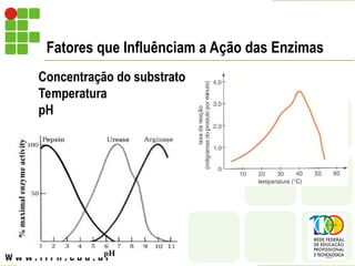 Fatores que Influênciam a Ação das Enzimas
Concentração do substrato
Temperatura
pH
 
