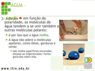 ÁGUA – PROPRIEDADES
2-
2- Adesão
Adesão  em função da
polaridade, as moléculas de
água tendem a se unir também a
outras moléculas polares:
 é por isso que a água molha.
 A água não adere a moléculas
apolares, como óleos, gorduras e
ceras:
 não molha superfícies enceradas,
oleosas ou engorduradas: forma
gotículas sobre elas.
 
