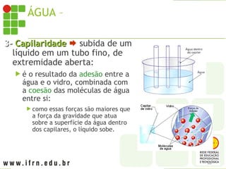 ÁGUA – PROPRIEDADES
3-
3- Capilaridade
Capilaridade  subida de um
líquido em um tubo fino, de
extremidade aberta:
 é o resultado da adesão entre a
água e o vidro, combinada com
a coesão das moléculas de água
entre si:
 como essas forças são maiores que
a força da gravidade que atua
sobre a superfície da água dentro
dos capilares, o líquido sobe.
 
