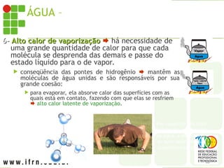 ÁGUA – PROPRIEDADES
6-
6- Alto calor de vaporização
Alto calor de vaporização  há necessidade de
uma grande quantidade de calor para que cada
molécula se desprenda das demais e passe do
estado líquido para o de vapor.
 conseqüência das pontes de hidrogênio  mantêm as
moléculas de água unidas e são responsáveis por sua
grande coesão:
 para evaporar, ela absorve calor das superfícies com as
quais está em contato, fazendo com que elas se resfriem
 alto calor latente de vaporização.
Por causa do alto calor
latente de vaporização
da água, a evaporação
do suor resfria nossas
superfícies corporais.
 