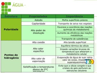 ÁGUA – PROPRIEDADES E IMPORTÂNCIA
BIOLÓGICA
Estrutura Propriedades Importância
Polaridade
Adesão Molha superfícies polares
Capilaridade Transporte de seiva nos vegetais
Alto poder de
dissolução
Favorece a ocorrência das reações
químicas do metabolismo
Aumento da eficiência das reações
metabólicas
Transporte de substâncias
Pontes de
hidrogênio
Alta coesão Alta tensão superficial
Alto calor
específico
Equilíbrio térmico da célula
Impede variações bruscas de
temperatura que afetariam o
metabolismo celular
Alto calor de
vaporização
Evaporação da água do suor retira
calor do corpo, impedindo o
superaquecimento
Solidificação a temperaturas
abaixo de 0°C
Evita que a célula congele e que
cristais de gelo perfurem as
estruturas celulares
www.bioloja.com
 