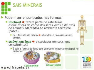SAIS MINERAIS
 Podem ser encontrados nas formas:
 insolúvel
insolúvel  fazem parte de estruturas
esqueléticas do corpo dos seres vivos e de ovos
de animais adaptados ao ambiente terrestre
(casca).
 Ex.: fosfato de cálcio  abundante nos ossos e nos
dentes.
 solúvel em água
solúvel em água  dissociados em seus íons
constituintes:
 É sob a forma de íons que exercem importante papel no
metabolismo celular.
Célula animal Célula vegetal
 