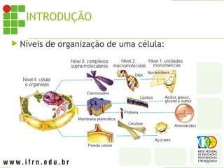 INTRODUÇÃO
 Níveis de organização de uma célula:
Célula vegetal
 