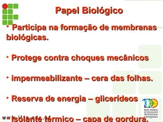 Papel Biológico
Papel Biológico
• Participa na formação de membranas
Participa na formação de membranas
biológicas.
biológicas.
• Protege contra choques mecânicos
Protege contra choques mecânicos
• impermeabilizante – cera das folhas.
impermeabilizante – cera das folhas.
• Reserva de energia – glicerídeos
Reserva de energia – glicerídeos
• Isolante térmico – capa de gordura.
Isolante térmico – capa de gordura.
 