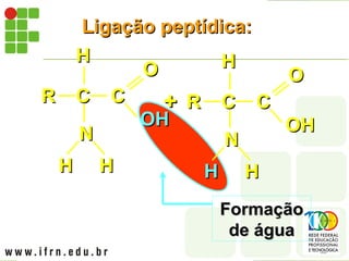 C
C C
C
R
R
N
N
H
H
H
H H
H
OH
OH
O
O
C
C C
C
R
R
N
N
H
H
H
H H
H
OH
OH
O
O
OH
OH
H
H
+
+
Ligação peptídica:
Ligação peptídica:
Formação
Formação
de água
de água
 