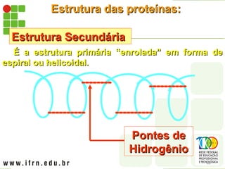 Estrutura das proteínas:
Estrutura das proteínas:
Estrutura Secundária
Estrutura Secundária
É a estrutura primária “enrolada” em forma de
É a estrutura primária “enrolada” em forma de
espiral ou helicoidal.
espiral ou helicoidal.
Pontes de
Pontes de
Hidrogênio
Hidrogênio
 