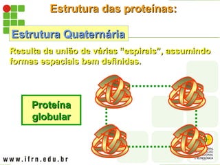 Estrutura das proteínas:
Estrutura das proteínas:
Estrutura Quaternária
Estrutura Quaternária
Resulta da união de várias “espirais”, assumindo
Resulta da união de várias “espirais”, assumindo
formas espaciais bem definidas.
formas espaciais bem definidas.
Proteína
Proteína
globular
globular
 