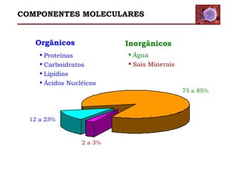 Água Sais Minerais Proteínas Carboidratos  Lipídios Ácidos Nucléicos Inorgânicos Orgânicos 75 a 85% 12 a 23% 2 a 3% COMPONENTES MOLECULARES 