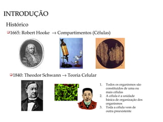 INTRODUÇÃO Histórico <ul><li>1665: Robert Hooke    Compartimentos (Células) </li></ul><ul><li>1840: Theodor Schwann    T...