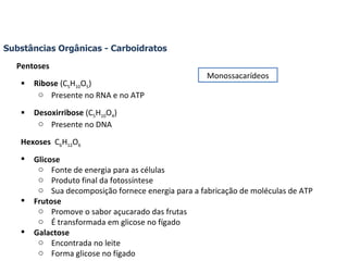 Substâncias Orgânicas - Carboidratos Pentoses Ribose  (C 5 H 10 O 5 ) Presente no RNA e no ATP Desoxirribose  (C 5 H 10 O 4 ) Presente no DNA Hexoses  C 6 H 12 O 6 Glicose Fonte de energia para as células Produto final da fotossíntese Sua decomposição fornece energia para a fabricação de moléculas de ATP Frutose Promove o sabor açucarado das frutas É transformada em glicose no fígado Galactose Encontrada no leite Forma glicose no fígado Monossacarídeos 