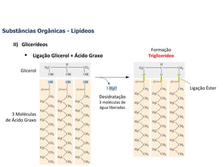 Substâncias Orgânicas - Lipídeos Glicerídeos Ligação Glicerol + Ácido Graxo Glicerol 3 Moléculas de Ácido Graxo Desidratação 3 moléculas de água liberadas Formação Triglicerídeo Ligação Éster 