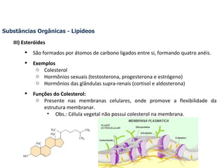Substâncias Orgânicas - Lipídeos III) Esteróides São formados por átomos de carbono ligados entre si, formando quatro anéis. Exemplos Colesterol Hormônios sexuais (testosterona, progesterona e estrógeno) Hormônios das glândulas supra-renais (cortisol e aldosterona) Funções do Colesterol: Presente nas membranas celulares, onde promove a flexibilidade da estrutura membranar. Obs.: Célula vegetal não possui colesterol na membrana. 
