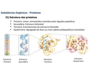 Substâncias Orgânicas - Proteínas II) Estrutura das proteínas Primária: Linear, aminoácidos mantidos pelas ligações peptídicas Secundária: Estrutura helicoidal Terciária: Enovelamento da estrutura helicoidal Quaternária: Agregação de duas ou mais cadeias polipeptídicas enoveladas Estrutura  Primária Estrutura  Secundária Estrutura  Terciária Estrutura  Quaternária 