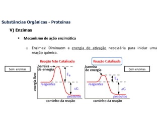 Com enzimas Sem  enzimas 