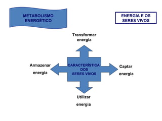 METABOLISMO ENERGÉTICO ENERGIA E OS SERES VIVOS CARACTERÍSTICA  DOS SERES VIVOS Transformar energia Captar  energia Utilizar energia Armazenar energia 