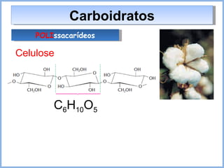 Carboidratos POLI ssacarídeos Celulose C 6 H 10 O 5 
