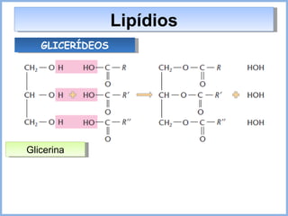Lipídios GLICERÍDEOS Glicerina 