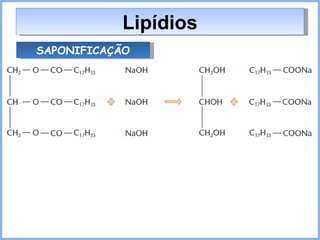 Lipídios SAPONIFICAÇÃO 