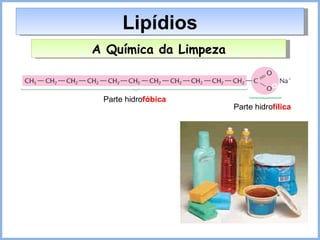 Lipídios A Química da Limpeza Parte hidro fóbica Parte hidro fílica 