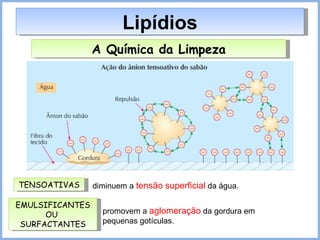 Lipídios A Química da Limpeza TENSOATIVAS diminuem a  tensão superficial  da água. EMULSIFICANTES OU  SURFACTANTES promovem a  aglomeração  da gordura em pequenas gotículas. 