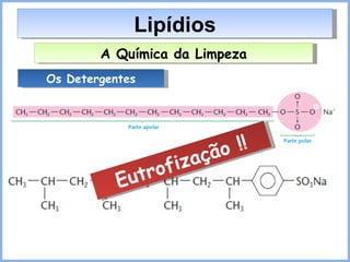 Lipídios A Química da Limpeza Os Detergentes Eutrofização !! 