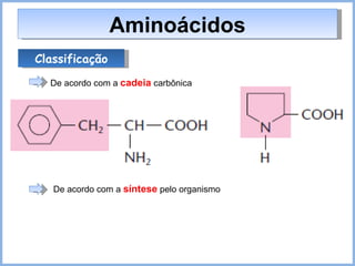 Classificação De acordo com a  cadeia  carbônica Aminoácidos De acordo com a  síntese  pelo organismo 
