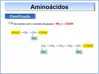 Classificação De acordo com o número de grupos  - NH 2  e  - COOH Aminoácidos 