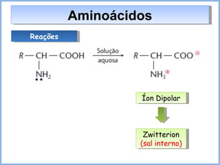 Reações Aminoácidos Íon Dipolar Zwitterion (sal interno) 