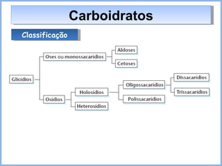 Carboidratos Classificação 