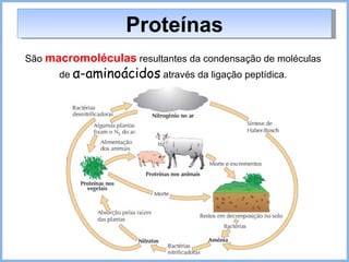Proteínas São  macromoléculas  resultantes da condensação de moléculas de  α-aminoácidos  através da ligação peptídica. 