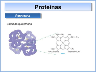 Proteínas Estrutura quaternária Estrutura 