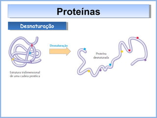 Proteínas Desnaturação 