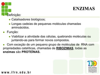 ENZIMAS
 Definição:
 Catalisadores biológicos;
 Longas cadeias de pequenas moléculas chamadas
aminoácidos.
 Função:
 Viabilizar a atividade das células, quebrando moléculas ou
juntando-as para formar novos compostos.
 Com exceção de um pequeno grupo de moléculas de RNA com
propriedades catalíticas, chamadas de RIBOZIMAS, todas as
enzimas são PROTEÍNAS.
 
