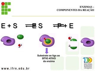 ENZIMAS –
COMPONENTES DA REAÇÃO
E + S E S P + E
Substrato se liga ao
SÍTIO ATIVO
da enzima
 