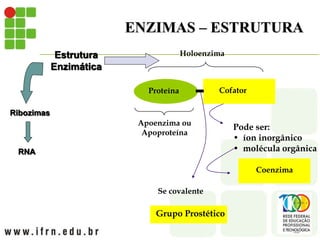 ENZIMAS – ESTRUTURA
RNA
Estrutura
Enzimática
Ribozimas
Se covalente
Apoenzima ou
Apoproteína
Grupo Prostético
Holoenzima
Cofator
Coenzima
Proteína
Pode ser:
• íon inorgânico
• molécula orgânica
 