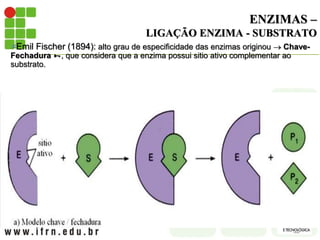ENZIMAS –
LIGAÇÃO ENZIMA - SUBSTRATO
Emil Fischer (1894): alto grau de especificidade das enzimas originou  Chave-
Fechadura , que considera que a enzima possui sitio ativo complementar ao
substrato.
 