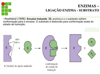 ENZIMAS –
LIGAÇÃO ENZIMA - SUBSTRATO
Koshland (1958): Encaixe Induzido , enzima e o o substrato sofrem
conformação para o encaixe. O substrato é distorcido para conformação exata do
estado de transição.
 