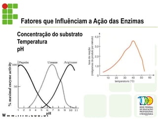 Fatores que Influênciam a Ação das Enzimas
Concentração do substrato
Temperatura
pH
 